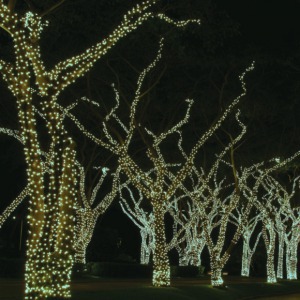 Dekortrend Kültéri KONTAKT LED Jégszikrázó fényfüzér 80 db+20 db