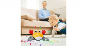 Úszó és sétáló rákocska