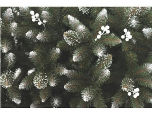 Lucfenyő fehérberkenyével - 220cm