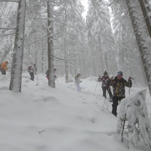 Alacsony-Tátra hótalpas túra