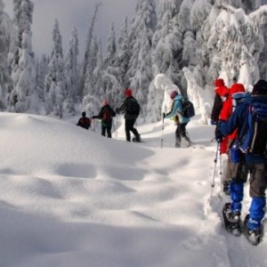 Alacsony-Tátra hótalpas túra