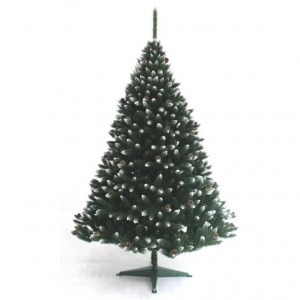 Ezüstfenyő fehér tobozzal - 150cm
