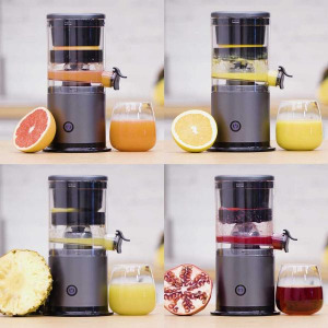 Livington JuiceBoost multifunkciós gyümölcscentrifuga