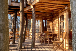 Öleljen körbe a természet-Lombház az Őrség szívében - 3éj 2fő reggeli