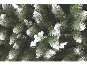 Lucfenyő ezüstberkenyével - 180cm