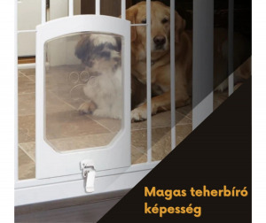 Rozsdamentes acél csat