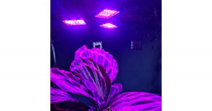 108LED-es háromágú kihajtható növénynevelő lámpa, E27, LED UV fény