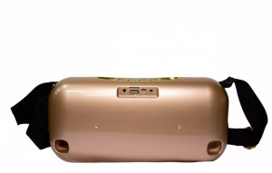 Bluetooth hangszóró, USB, MicroSD olvasó, 2db mikrofonnal, arany színű