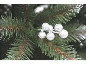 Lucfenyő ezüstberkenyével - 220cm