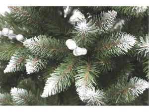 Lucfenyő ezüstberkenyével - 220cm