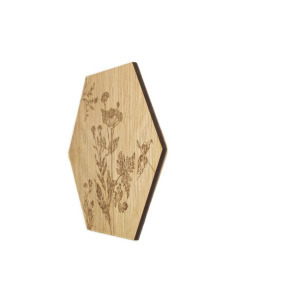 Hexagon tölgyfa kép - cickafarkfű