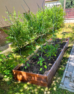 Lsh garden box magaságyás 100x80x40 cm