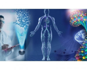 Teljes körű egészségügyi állapotfelmérés és szűrővizsgálat 7 vizsgálattal 1fő részére