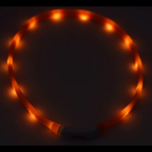 LED világító kutyanyakörv 50 cm választható színben