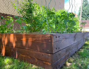 Lsh garden box magaságyás 300x80x45 cm