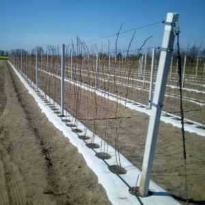 Geotextil, agrotextil, 70g/m2 1,6x50m fehér