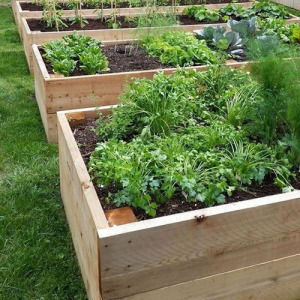 Lsh garden box magaságyás 200x80x45 cm