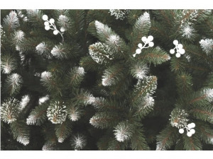 Lucfenyő fehérberkenyével - 150cm