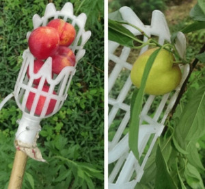 Gyümölcsszedő fej, fehér