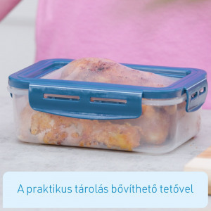 Livington Flex & Fresh frissentartó dobozok, 2 szett