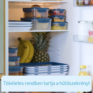 Livington Flex & Fresh frissentartó dobozok, 2 szett