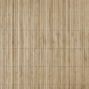 Bambusz kerítés 200x500 cm