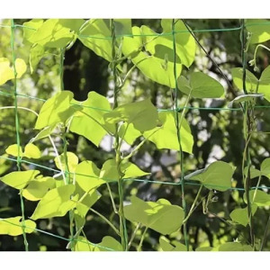 Növénytámasz háló 2x10m - Gardlov