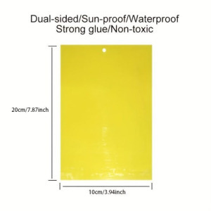 Ragacsos rovarfogó papír, 10 db