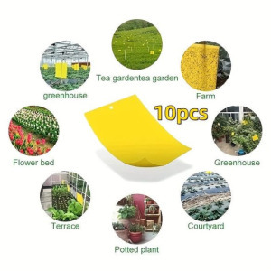 Ragacsos rovarfogó papír, 10 db