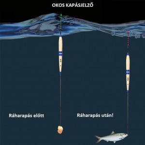 Okos kapásjelző, éjszakai úszó horgászoknak - Ajándék elemmel