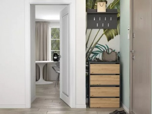 Riano MIX Modo X2 komód, 88x60x36 cm, sonoma