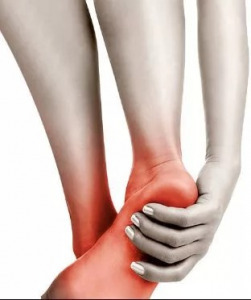 Fixo talpbetét, L-es méret, EU40-45