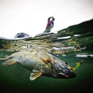 Halmágnes műcsali zöld