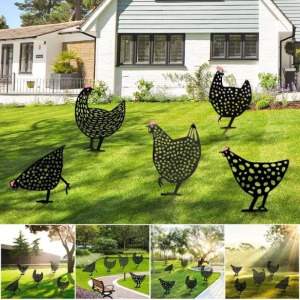 Csirke kerti dísz, kotlós