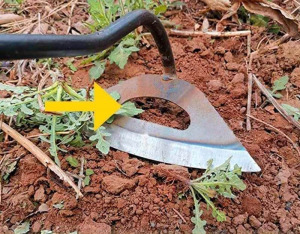 Kézi gyomvágó, üreges kapa rozsdamentes acélból