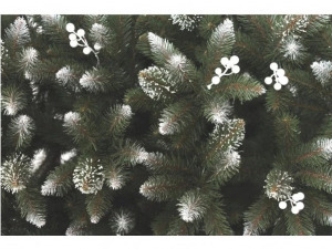 Lucfenyő fehérberkenyével - 180cm